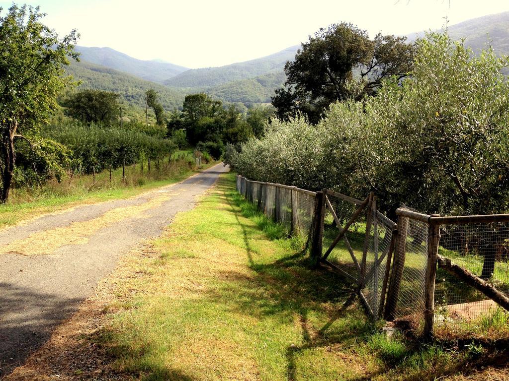 Agriturismo Le Cerinaie Castelnuovo di Val di Cecina Exteriör bild
