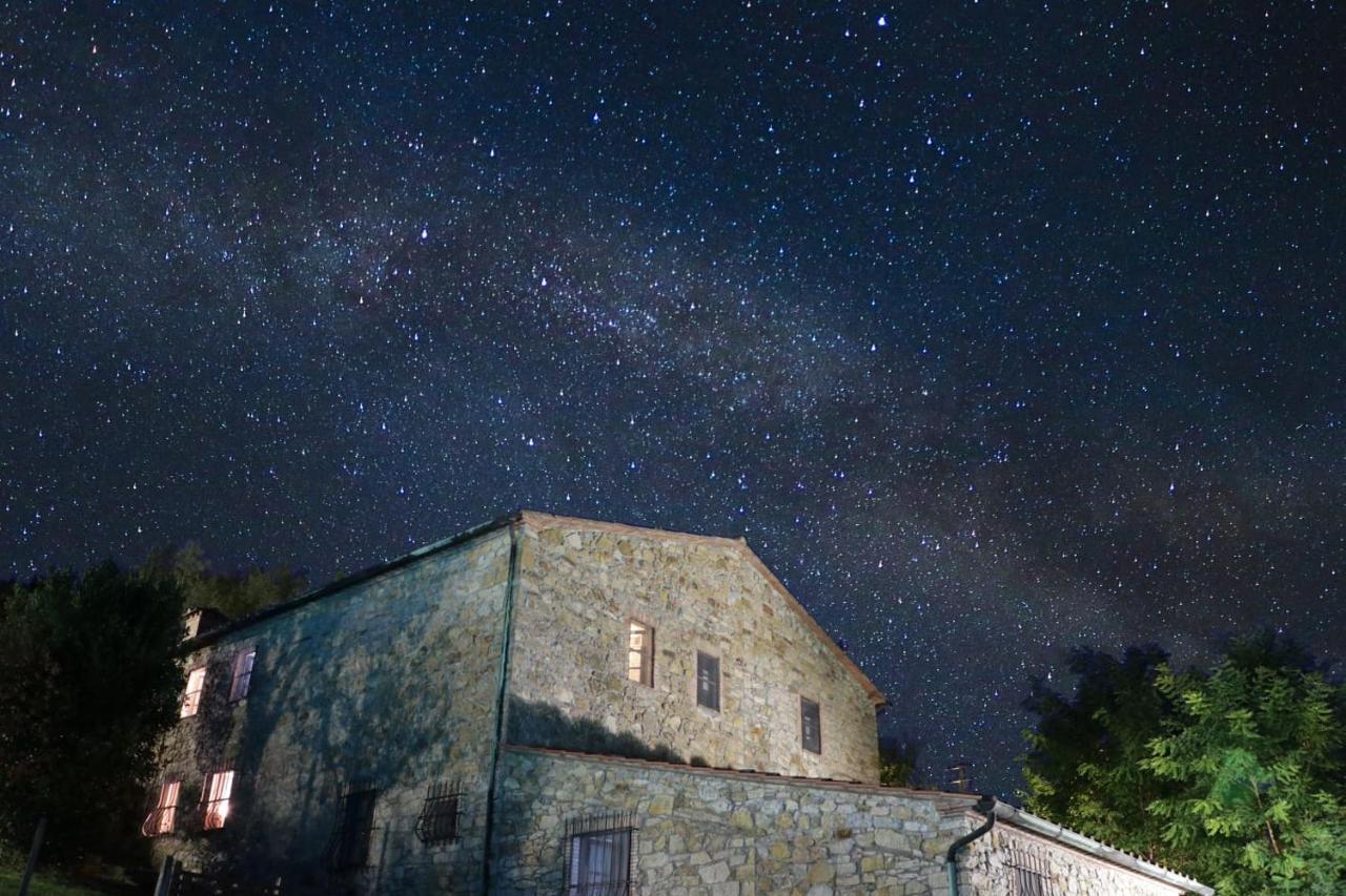 Agriturismo Le Cerinaie Castelnuovo di Val di Cecina Exteriör bild